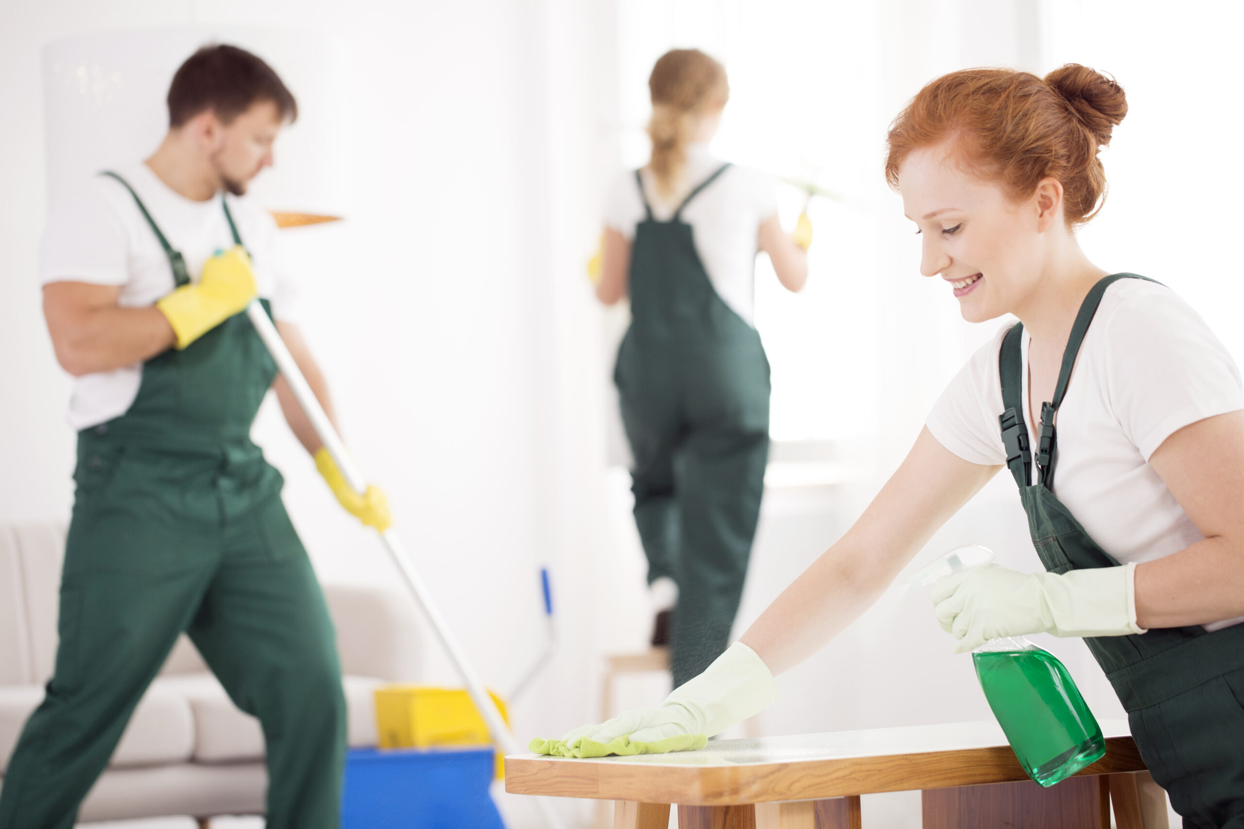 Cleaning supplies arranged for detailed household cleaning